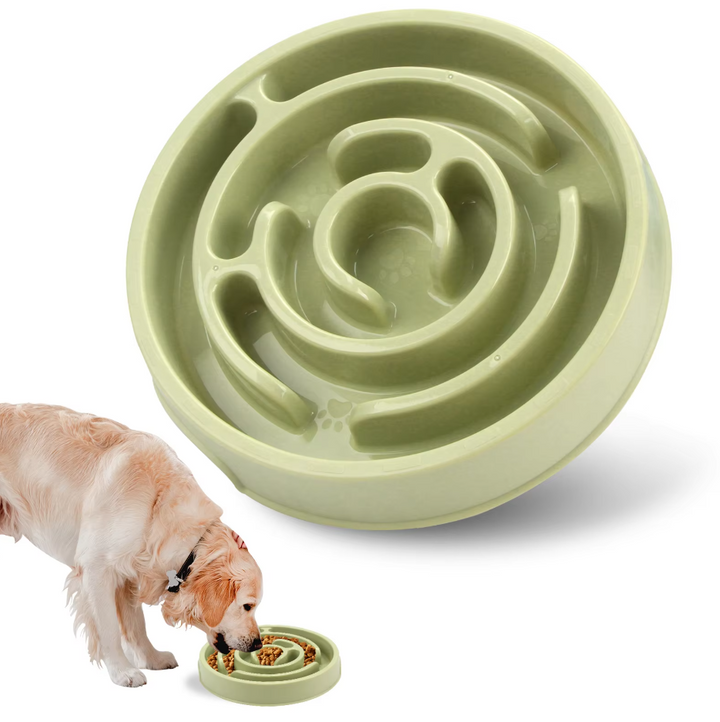 Dog slow feeder bowl, a practical pet supply for healthy eating habits and better digestion.