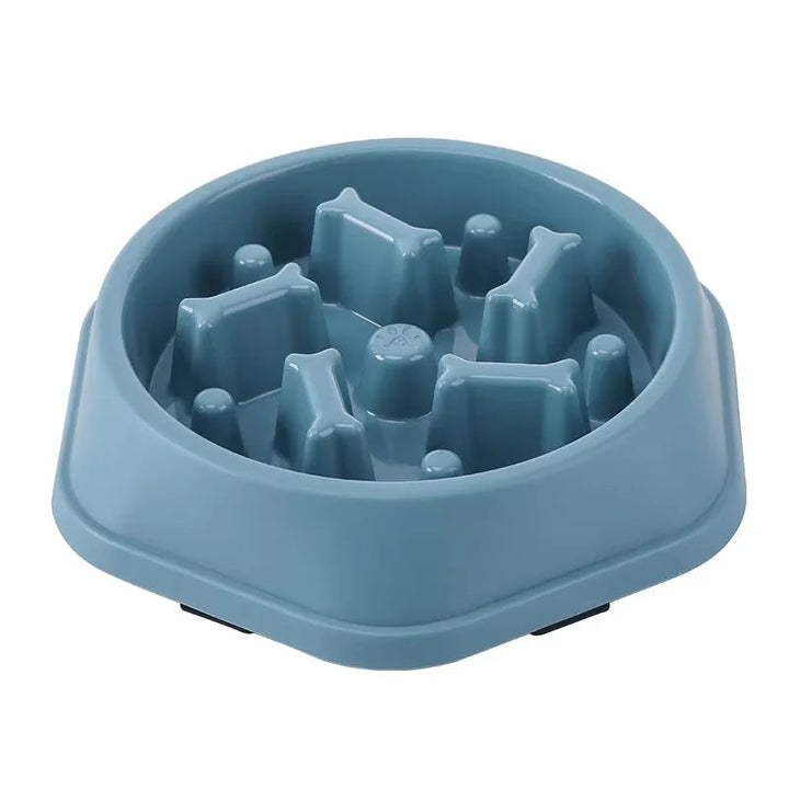 Dog slow feeder bowl with anti-choke design promoting healthy eating habits for pets