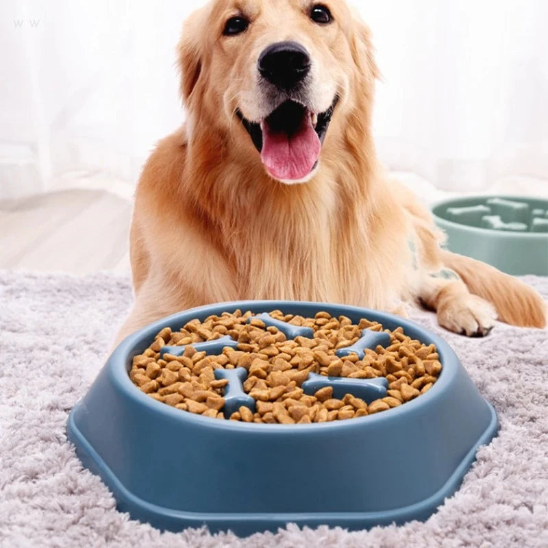 Green interactive slow feeder dog bowl, aiding digestion and preventing fast eating
