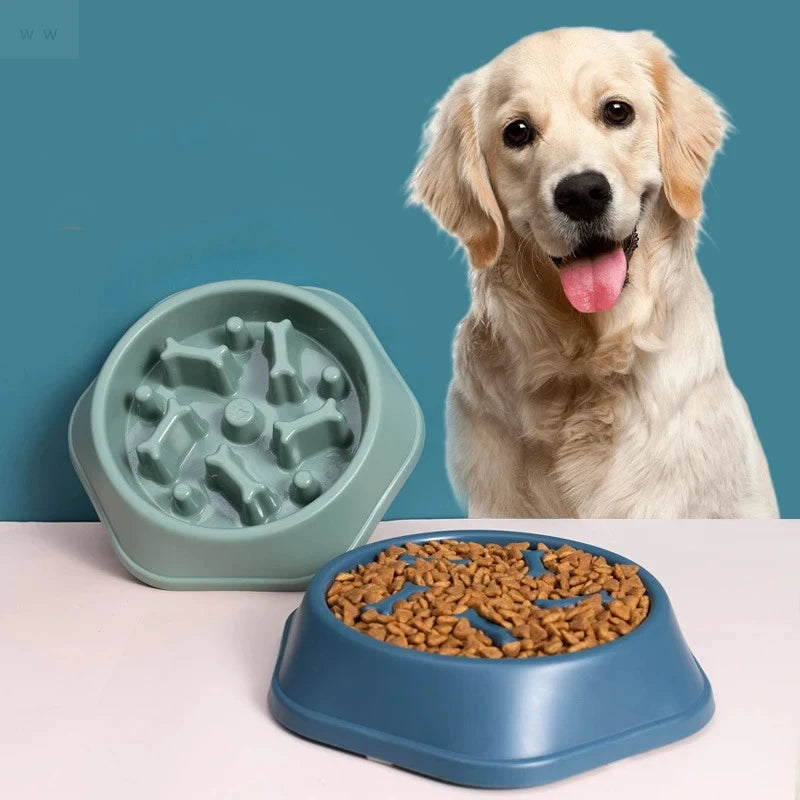 Eco-friendly anti-choke dog bowl, a pet accessory for healthy eating and improved digestion