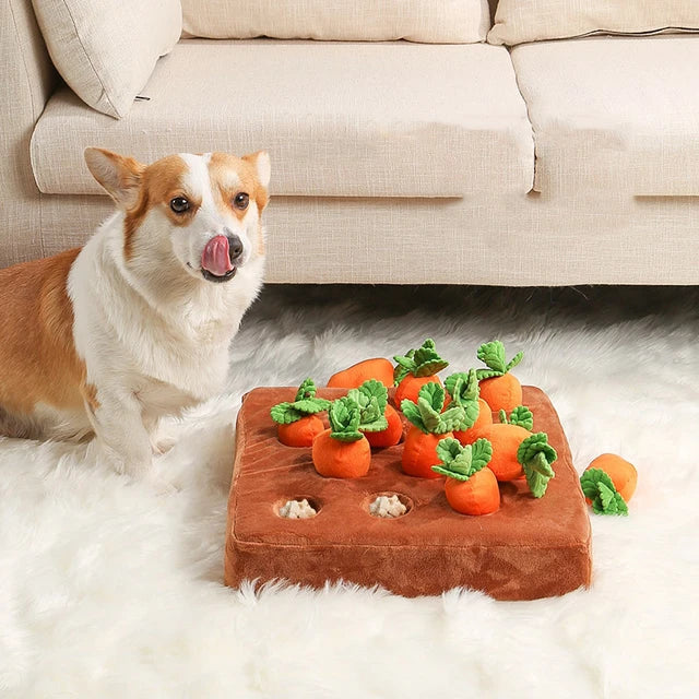 Dog sniffing an Interactive Carrot Farm Snuffle Mat, a pet enrichment foraging puzzle toy for mental stimulation.