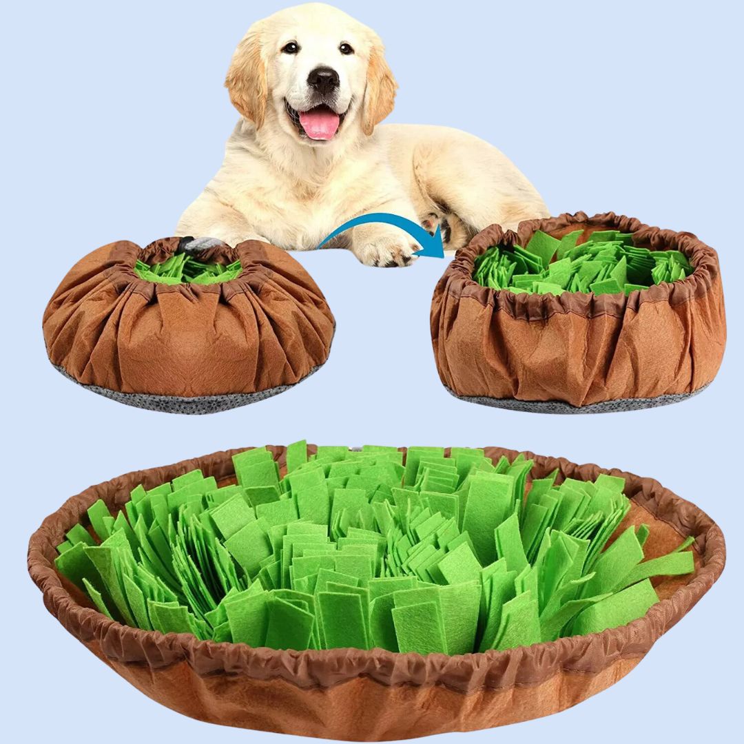 Dog sniffing an interactive snuffle mat for mental stimulation & slow feeding, gray & blue.