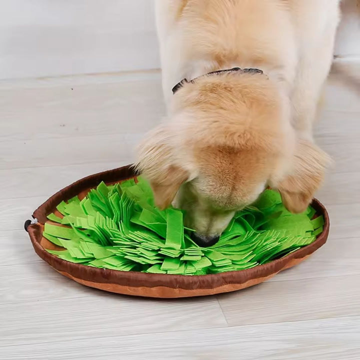 Beige dog nose buried in an interactive snuffle mat, promoting slow feeding & mental enrichment.
