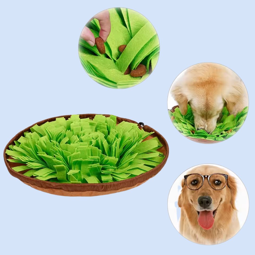 Top-down view of a colorful snuffle mat for dogs, designed for foraging & mental stimulation.