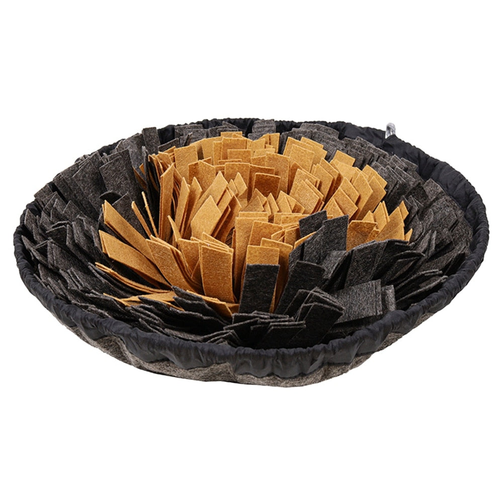 Interactive dog toy & snuffle mat in a living room, perfect for pet enrichment & slow feeding.