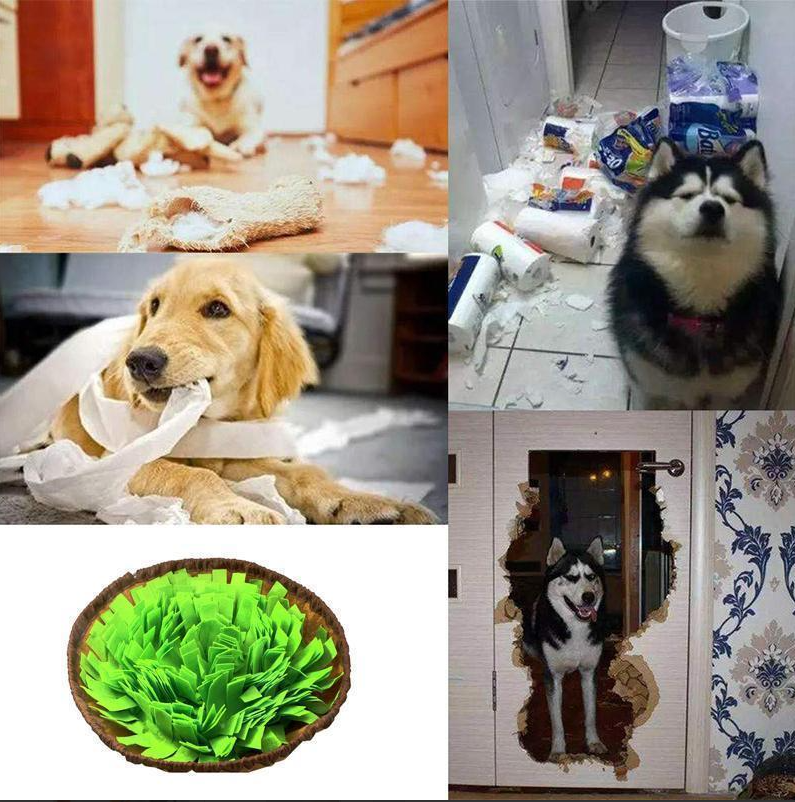 Dog sniffing mat for mental stimulation, green and brown fabric with hidden treats, close-up