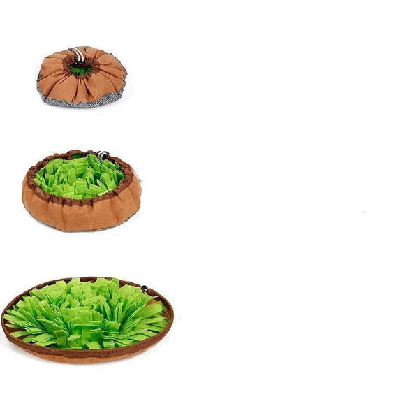 Pet supplies: colorful dog sniffing mat with a Border Collie actively searching for food