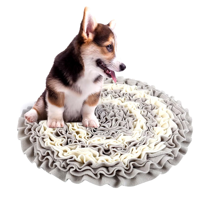 Small dog actively sniffing and foraging for treats in a soft, durable snuffle mat, slow feeder