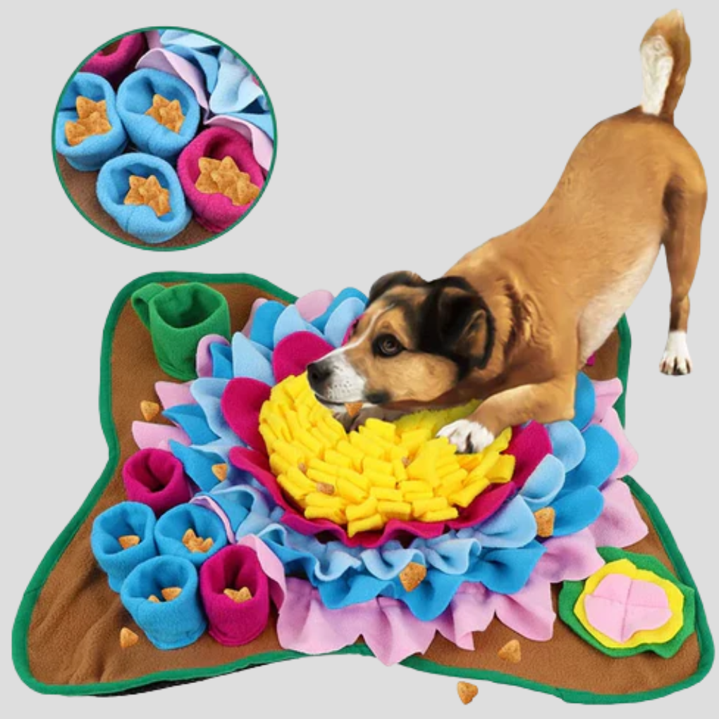 Dog snuffle mat slow feeder, a pet enrichment foraging mat for mental stimulation