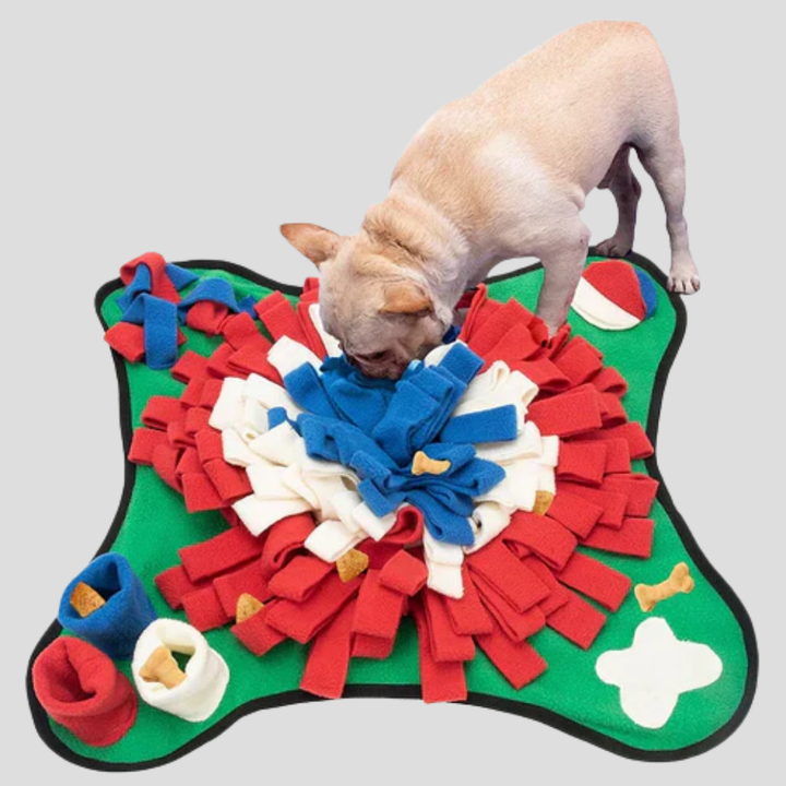 New dog snuffle mat slow feeder helps with mental stimulation for dogs