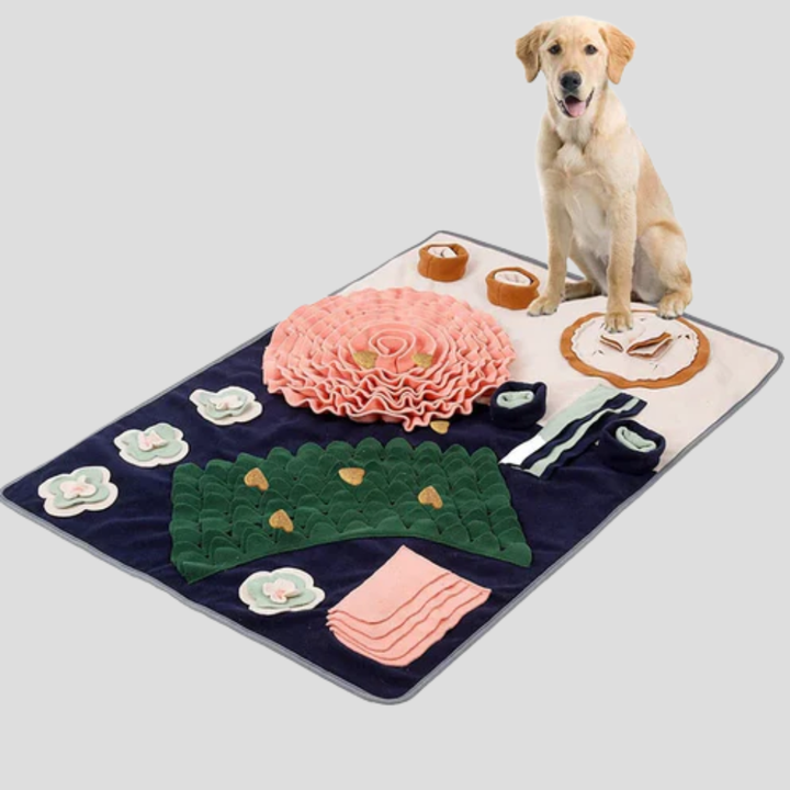 Close-up of a dog enjoying an interactive snuffle mat, promoting slow feeding and pet enrichment.