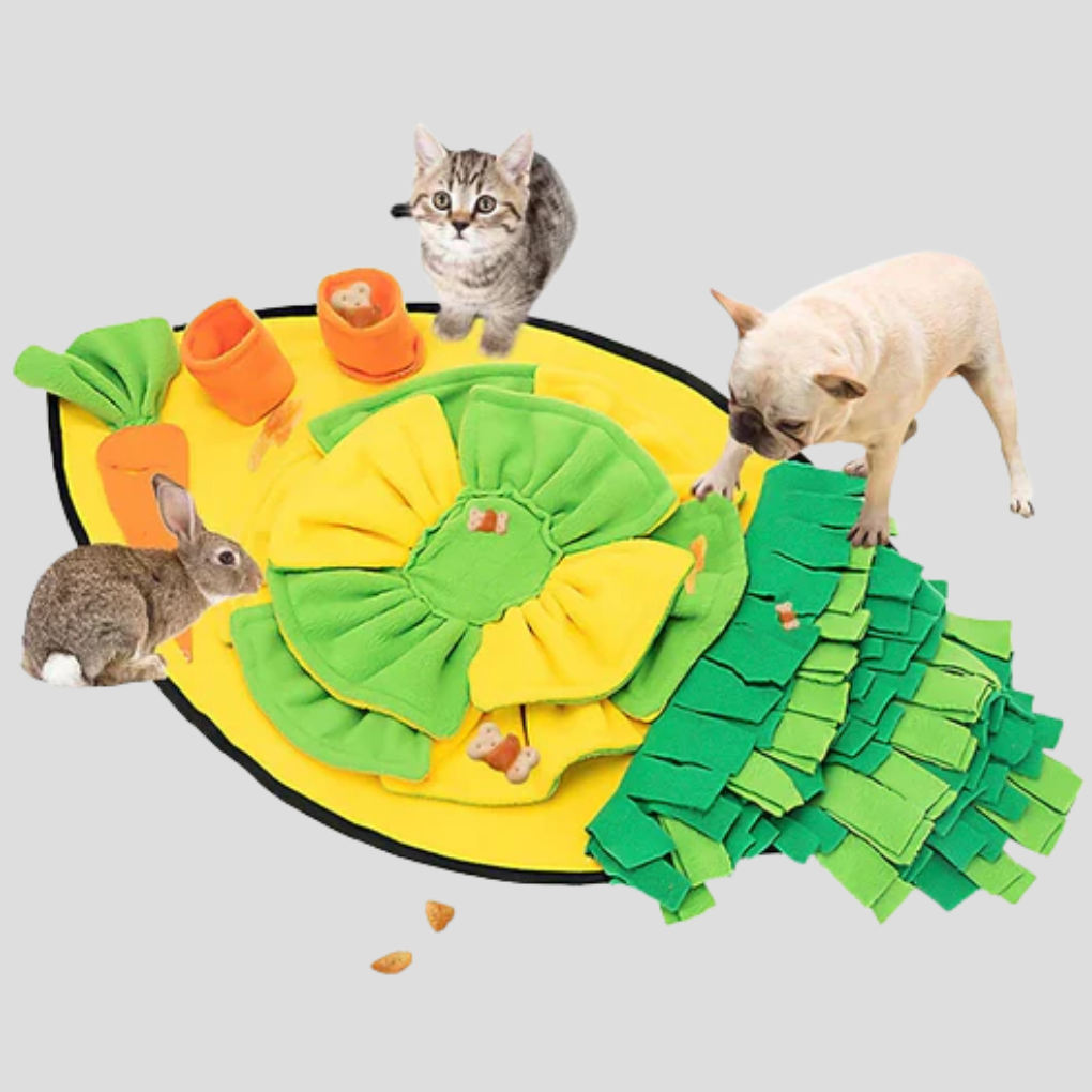 Happy dog playing with a soft, engaging snuffle mat, an indoor interactive dog toy for enrichment.