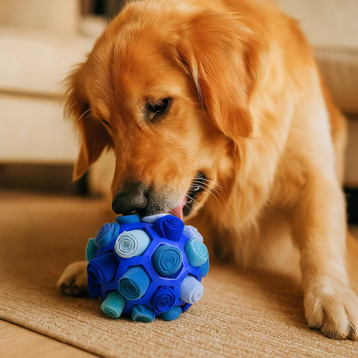 Yellow and orange snuffle ball enrichment toy with treats partially visible, for dog playtime.