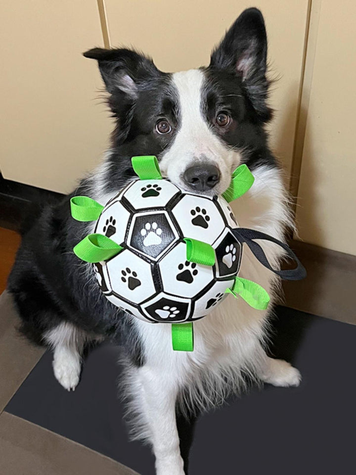 Dog soccer ball with grab tabs, black and white, for interactive outdoor play with pets