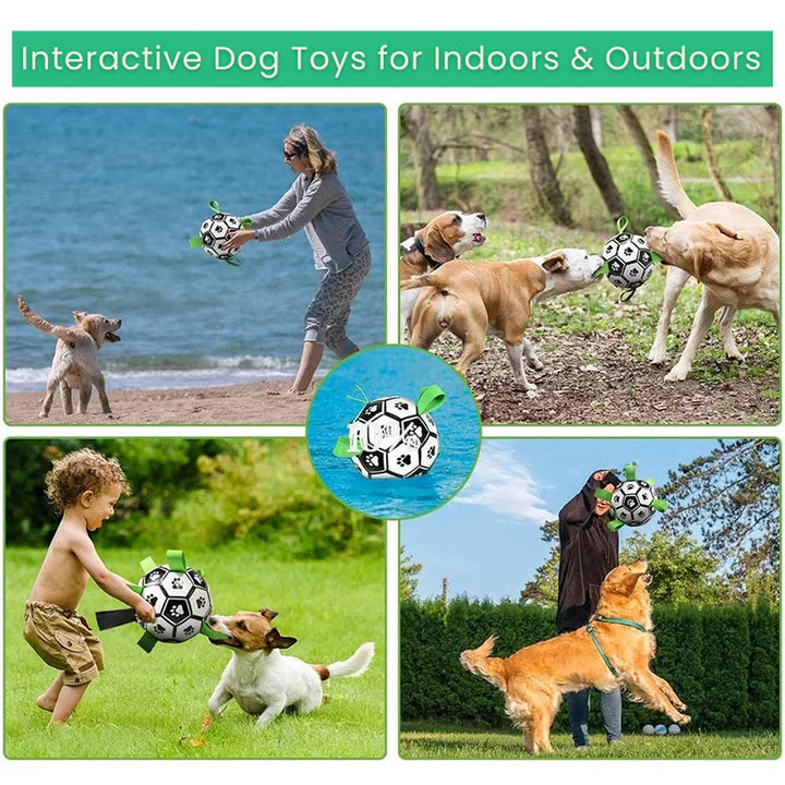 Fetch toy: dog soccer ball with grab tabs, ideal for puppies and adult dogs to play