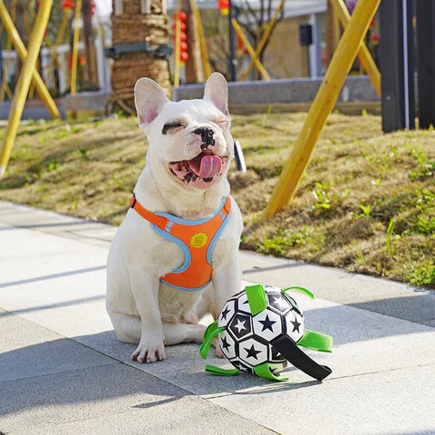 Interactive pet soccer ball with ten grab tabs, perfect for fetch and water play