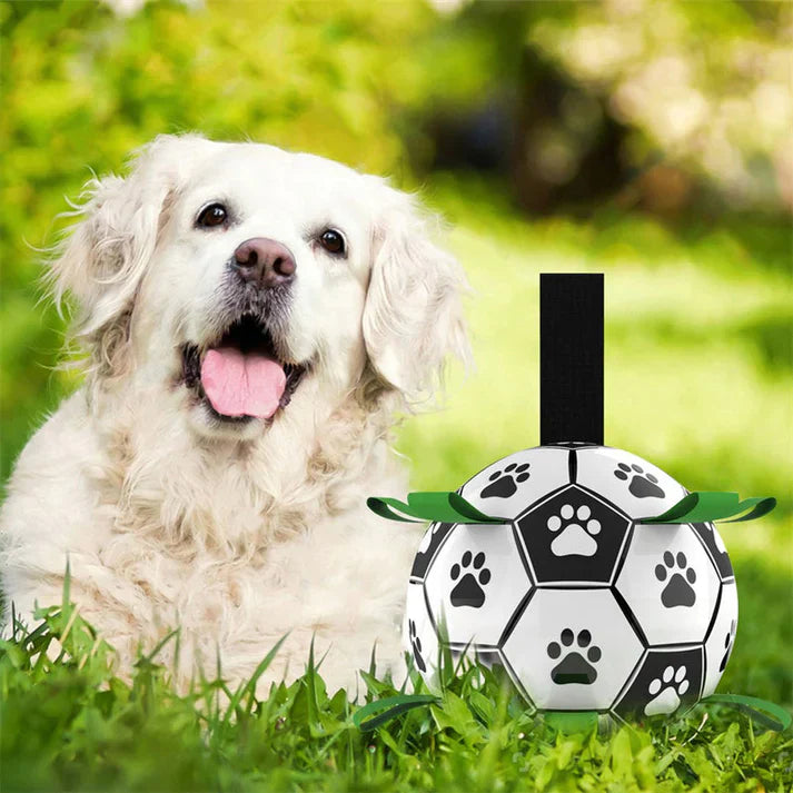 Dog training soccer ball with durable construction and grab handles for firm grip