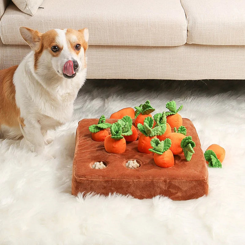Dog solving an interactive carrot puzzle toy for mental stimulation, enriches play