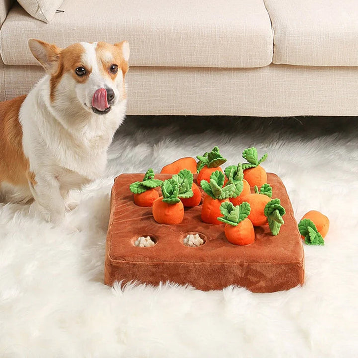 Dog solving an interactive carrot puzzle toy for mental stimulation, enriches play