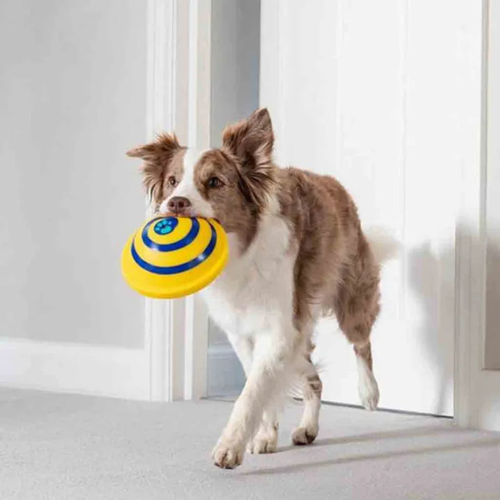 Dog solving interactive puzzle play mat with rotating feeders for mental stimulation