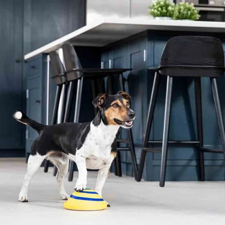 Overhead view of an interactive pet puzzle play mat, designed for dog mental stimulation