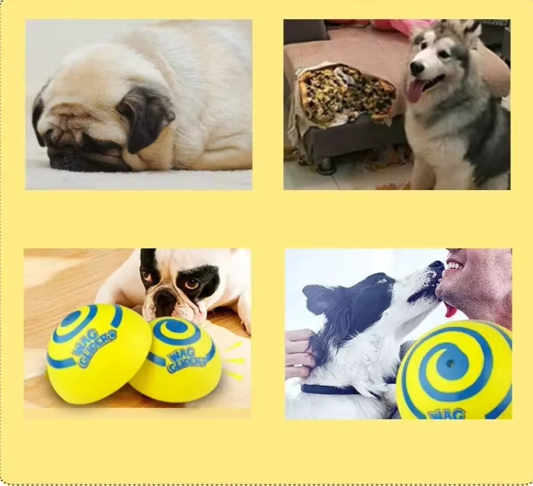 Happy dog playing with an interactive puzzle mat, promoting mental stimulation and pet play