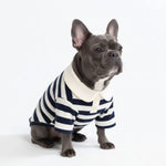 Navy Stripes