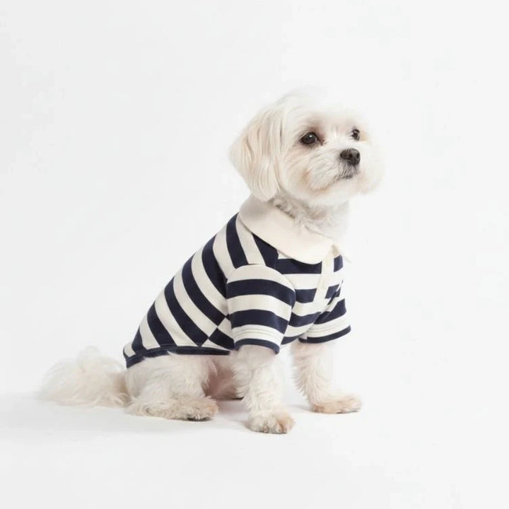Blue and white striped polo shirt for dogs, stylish pet fashion with classic design.