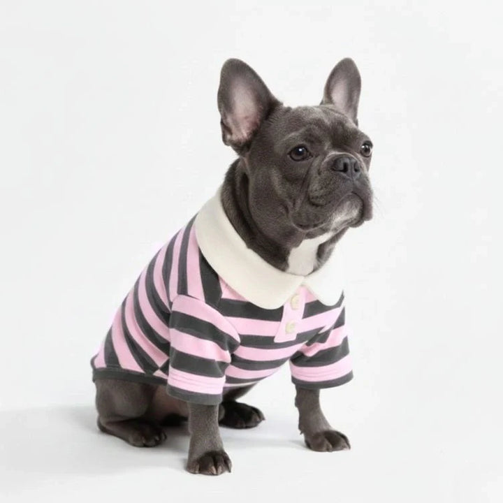 Green striped polo shirt for pets, breathable polyester dog clothing, perfect for summer.