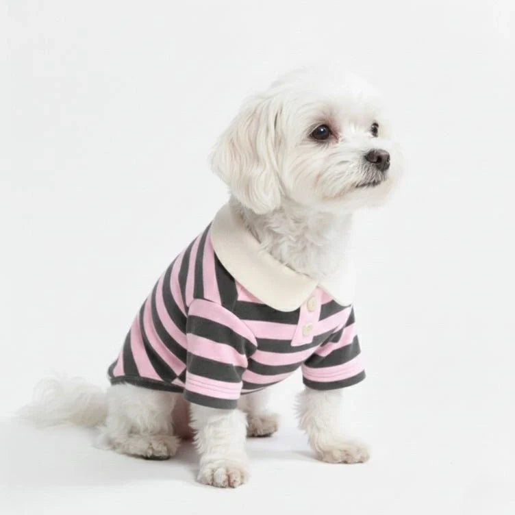 Cute dog wearing a yellow and white striped polo shirt, showcasing pet accessories.