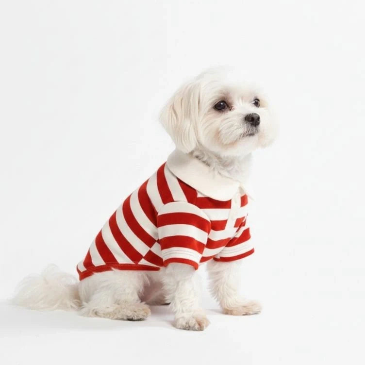 Orange striped polo shirt for dogs, vibrant pet wear for active furry friends.