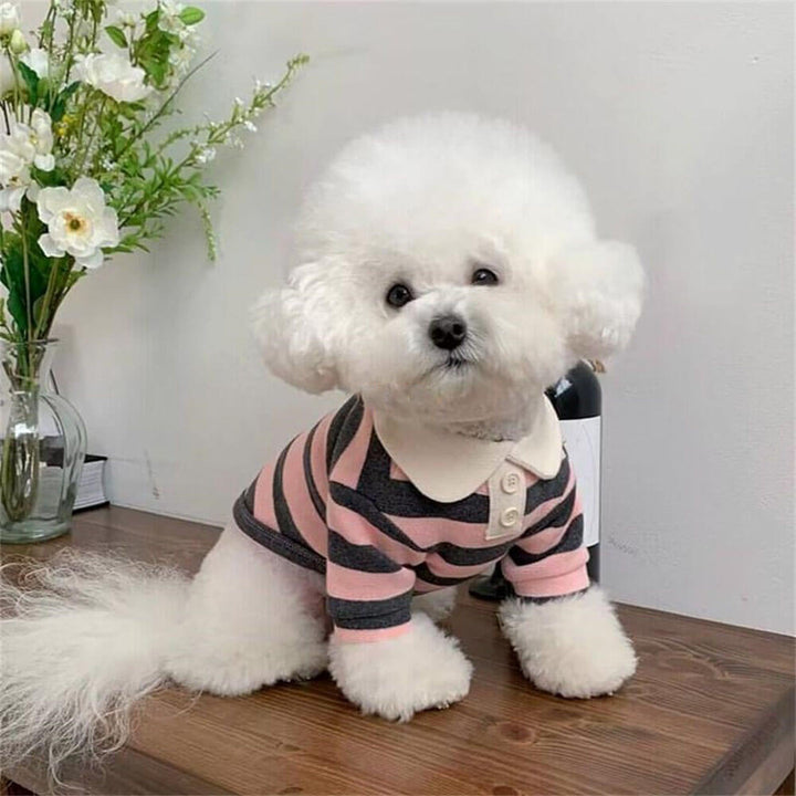 Grey striped polo shirt for dogs, an essential pet accessory for daily walks.