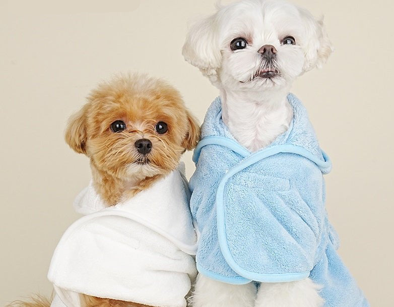 Happy dog wearing a hooded microfiber pet robe, after bath comfort and quick dry.
