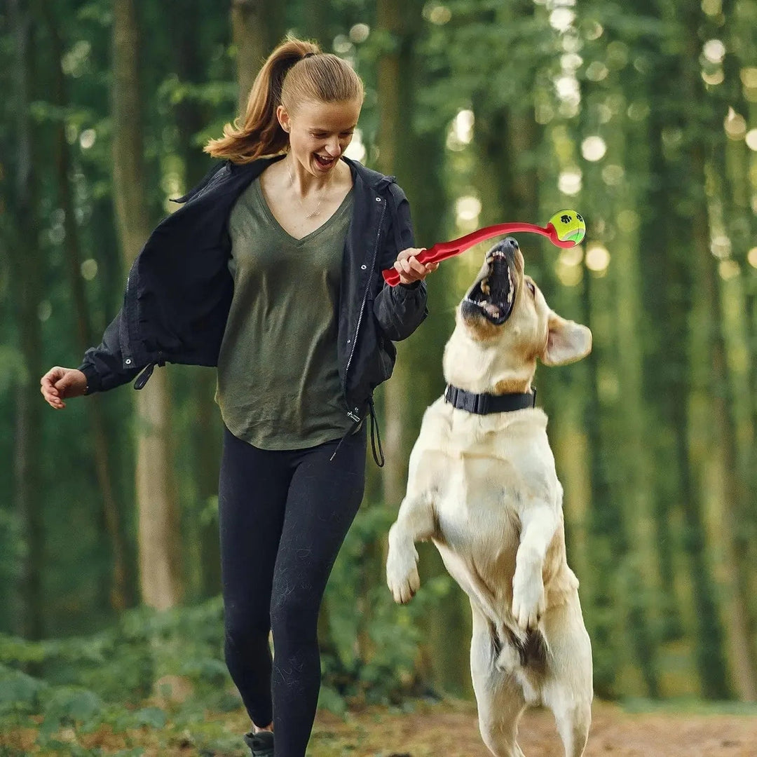 Close-up of a dog tennis ball launcher, durable pet exercise equipment
