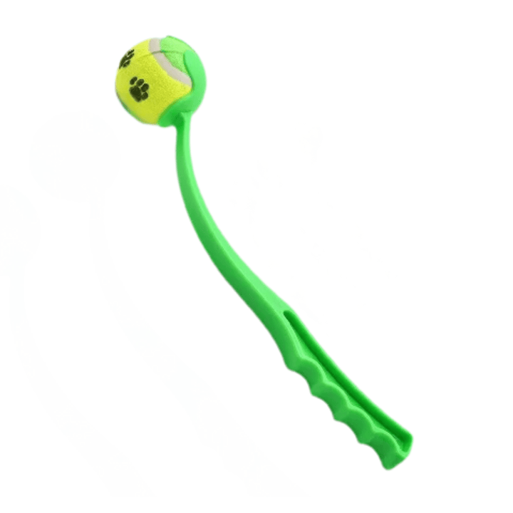 Dog happily fetching a ball launched by a pet supplies tennis ball launcher