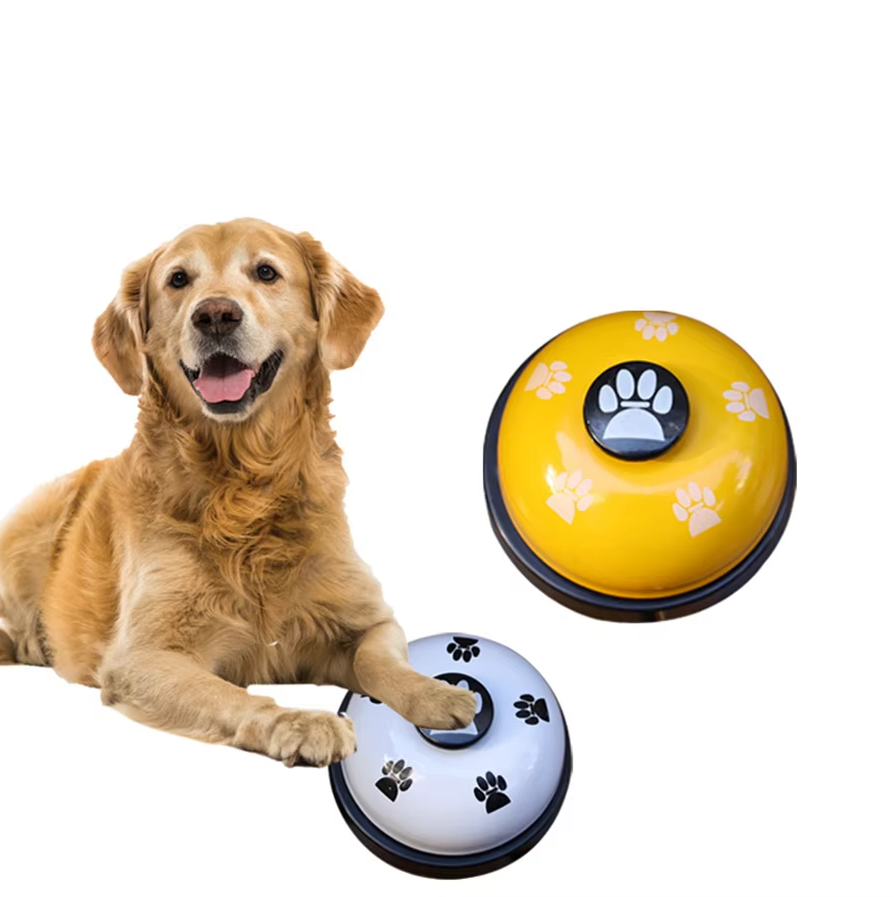 Dog paw pressing a training bell, showing interactive pet communication and learning