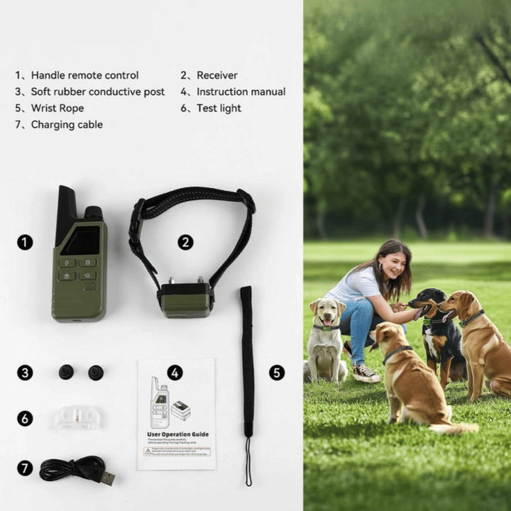 Detailed image of dog training collar contacts for safe pet training