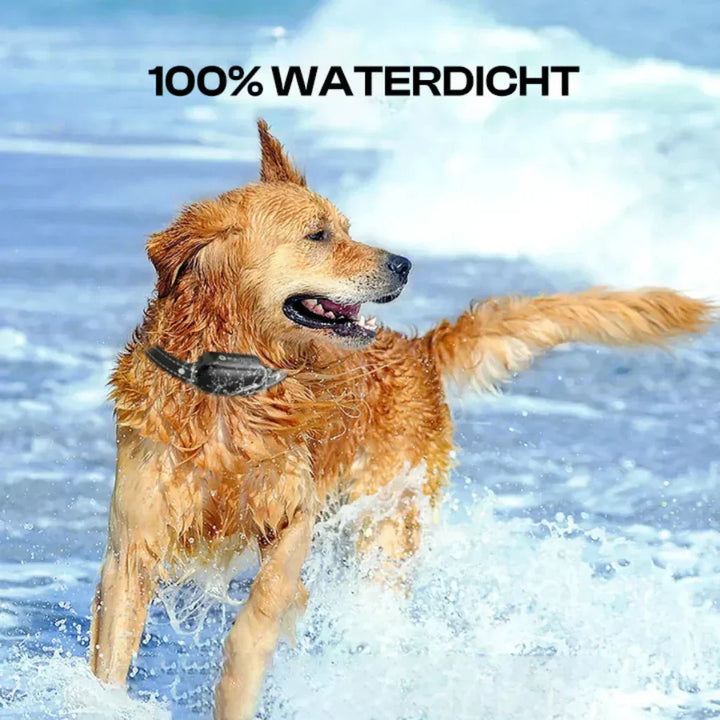 Pet obedience training collar & remote for dogs, waterproof, 3300 ft range. Ideal for outdoor behavior control.