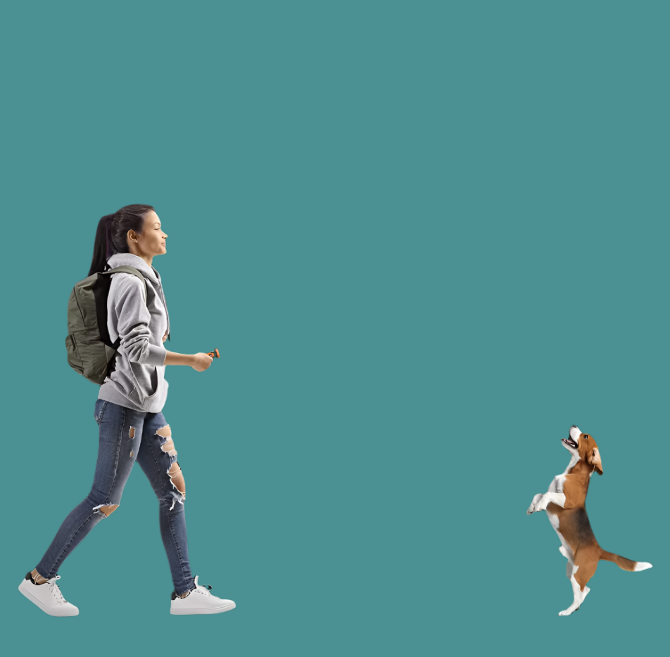 Modern dog training accessory offering ultrasonic sound and LED light for improved pet safety