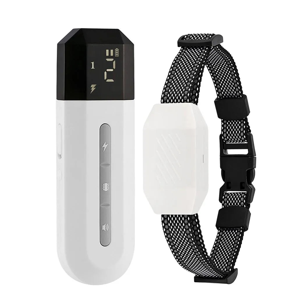 Compact remote dog training e-collar with distinct buttons for vibration, shock, sound