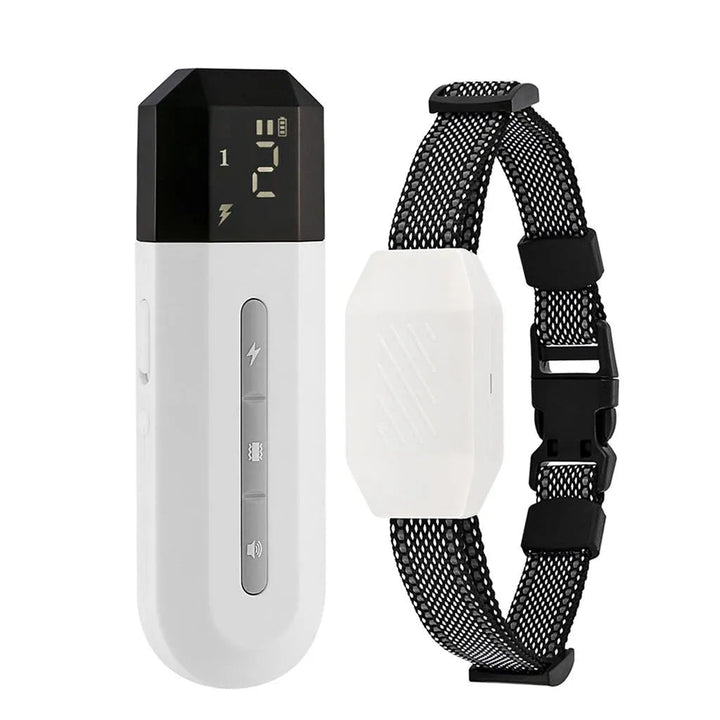 Compact remote dog training e-collar with distinct buttons for vibration, shock, sound