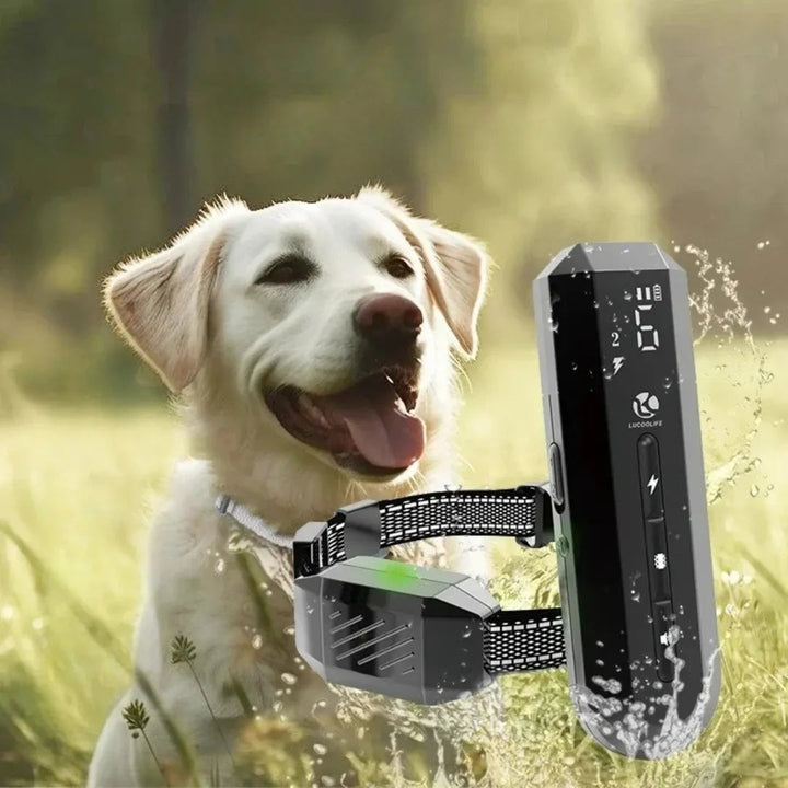 Pet training e-collar with handheld remote, adjustable strap, for dog obedience & safety