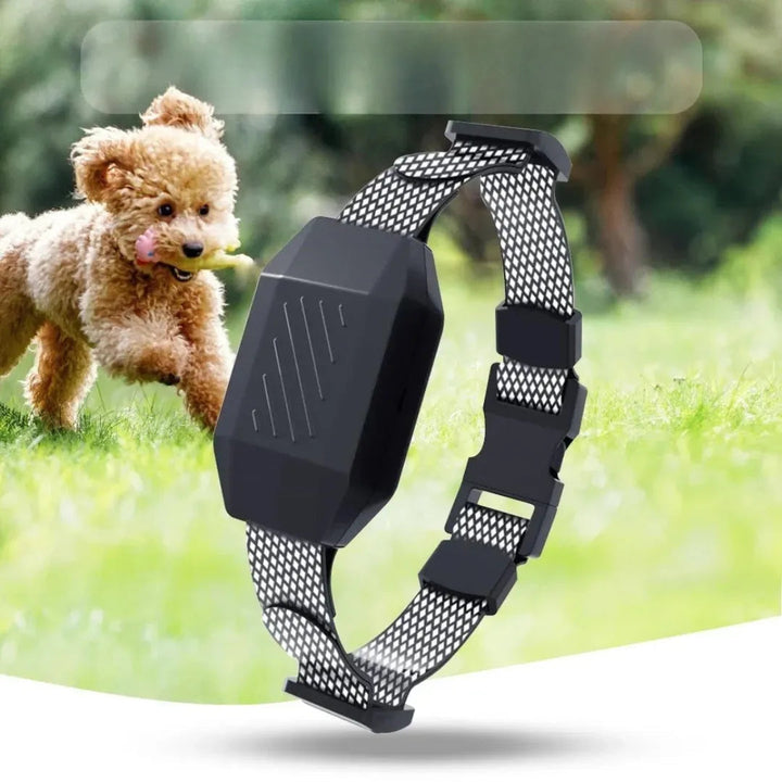 Water-resistant e-collar for dog training, remote controlled, multiple correction modes