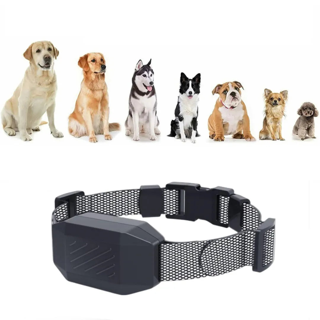 E-collar for dog behavior training, includes remote, vibration, shock, and sound modes