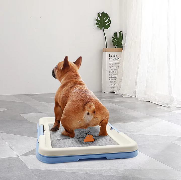 Dog training indoor toilet with non-slip mat, ideal for puppy housebreaking and small dog care.