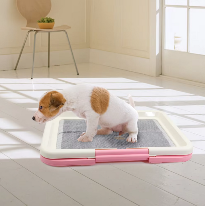 Small dog care - indoor pet toilet featuring a secure non-slip mat for mess-free training.