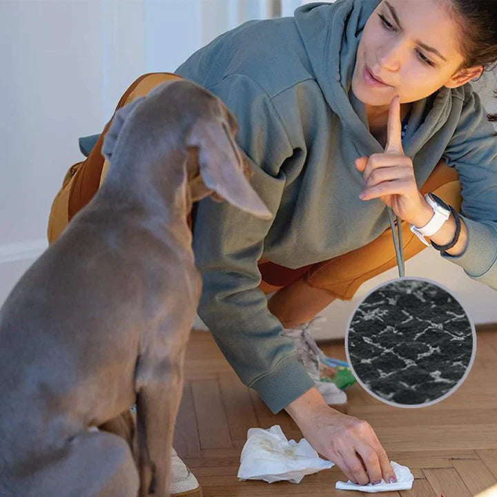 Packaging of 50 count carbon dog training pads, highlighting features like freshness and fast absorption.