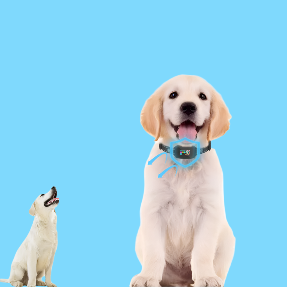 Dog Training Remote Collar with 8 levels vibration/shock for pet obedience & behavior correction.