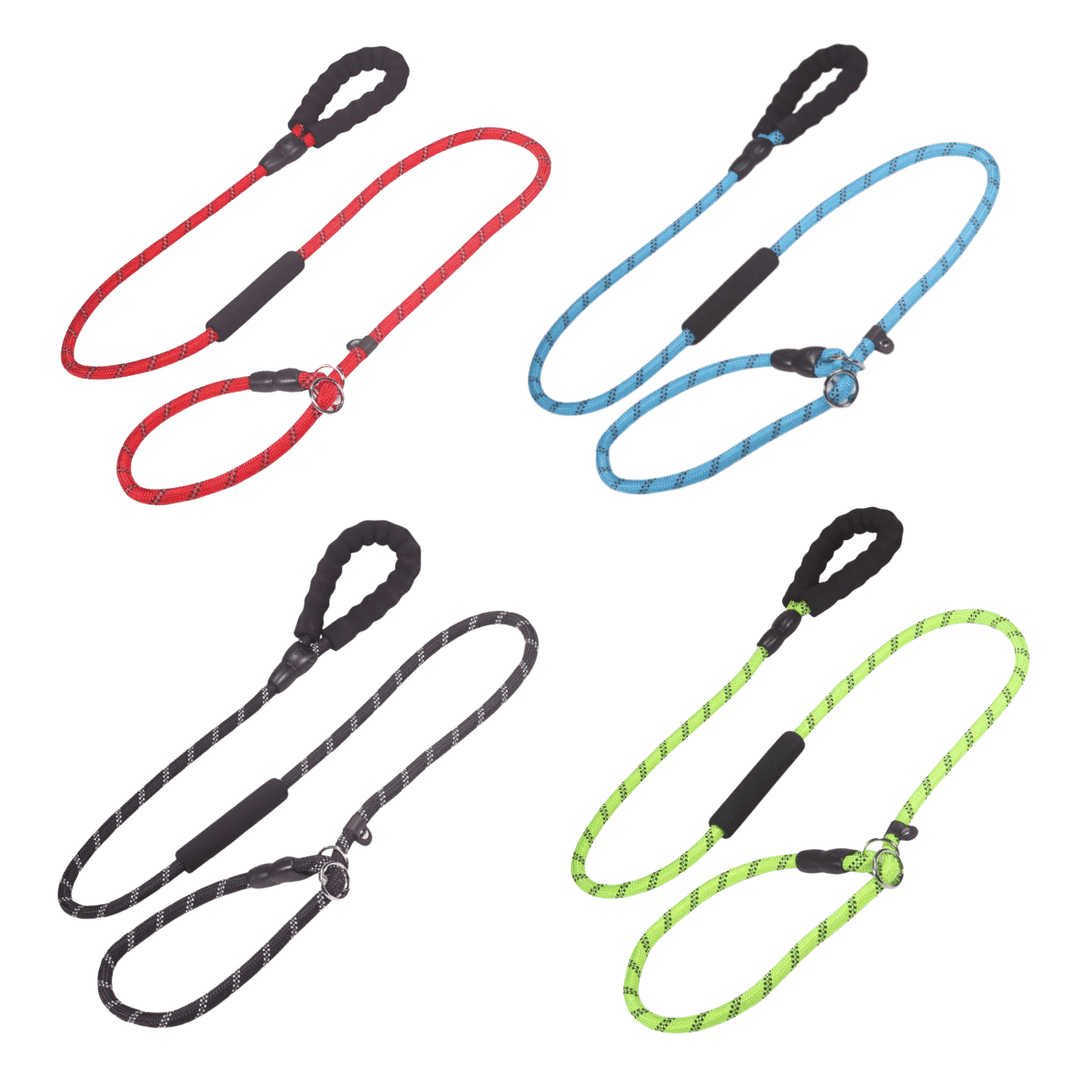 Durable dog training tools: clicker, treat pouch with waist clip, and reflective nylon leash
