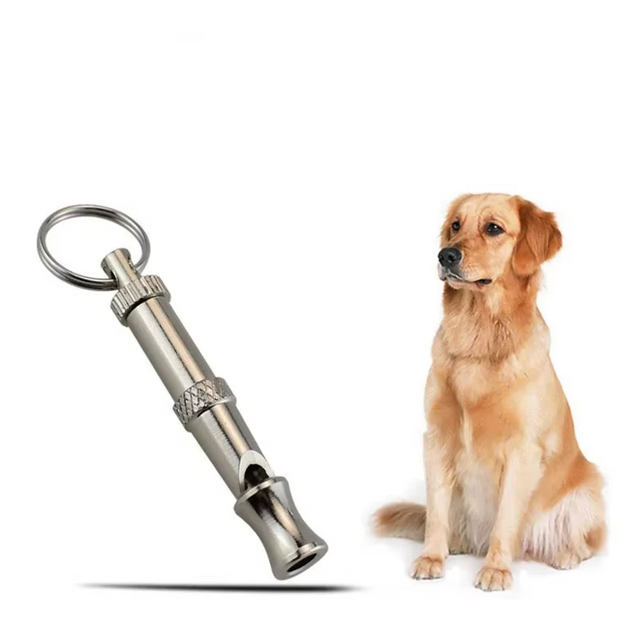 Silver dog whistle, a durable pet supply for improved recall and obedience training.